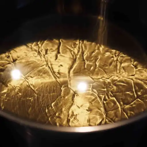 contatti 4 olio di girasole